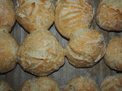 Bild 15 aus  West Masuren: Ferienhaus direkt am See mit Steg, Boot, Sauna & Kamin