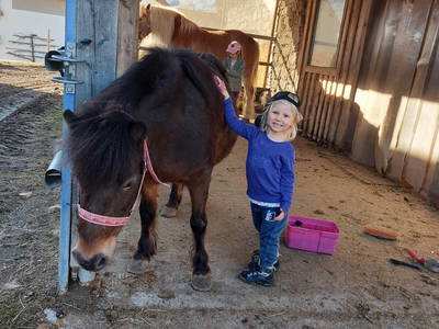 Pony putzen macht Spaß