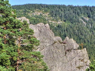 Bild 18 aus  Springhansenhof im Schwarzwald