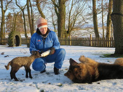 Bild 10 aus  Ferienhof Landfrieden