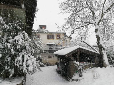 Bild 24 aus  Ansitz Grustdorf