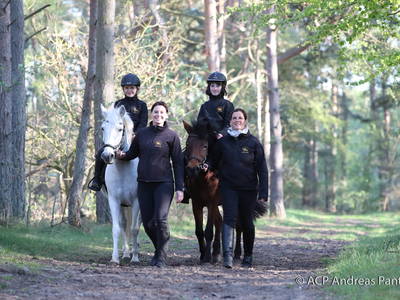 Bild 10 aus  Bernsteinland Wendorf