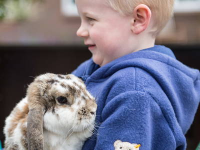 Bild 16 aus  Ferienhof Lorenzen