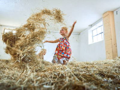 Bild 9 aus  LandSelection Schwarzfelder Hof