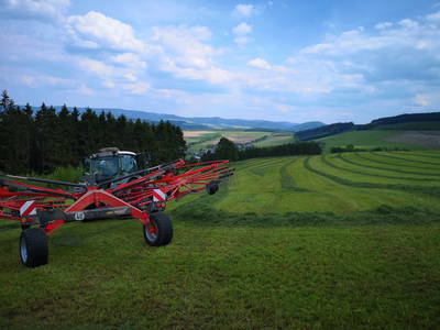 Bild 36 aus  Ferienbauernhof Voß