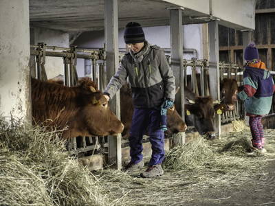 Bild 22 aus  Ferienhof Zinn