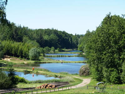 Teichlandschaft in Waldhütten
