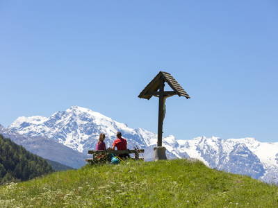 Bild 44 aus  BIO Bergbauernhof Inner-Glieshof