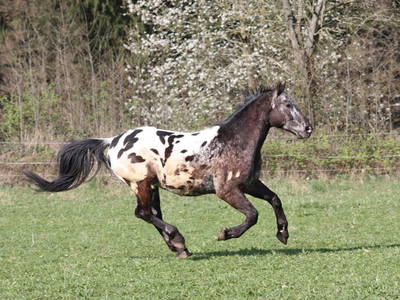 Bild 33 aus  Fenwick Farm