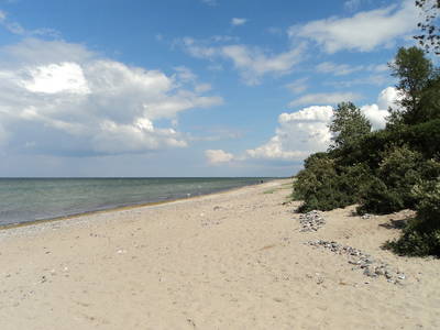 Strand Groß Schwansee