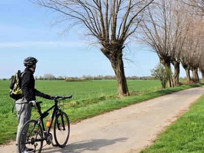 Bild 4 aus  Ferienwohnung Strüver
