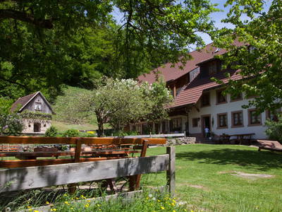 Bild 7 aus  Schingerhof