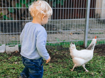 Bild 44 aus  Bio-Obstgut Oberhof