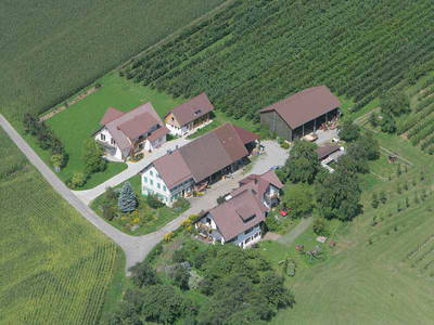 Bild 2 aus  Bio Ferienhof Teufelsberg GbR
