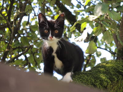 Bild 12 aus  Wieshof