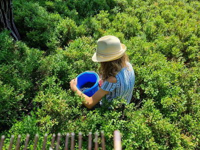 Bild 15 aus  Edlgütl Dein Hideaway