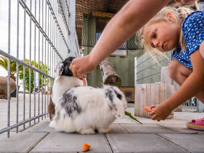 Bild 4 aus  Ferienwohnungen Wagner