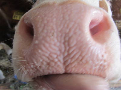 Bild 19 aus  Frankhof