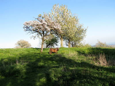 Bild 8 aus  Hof-Heiß