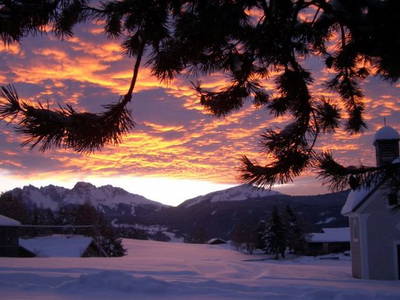 Bild 10 aus  Schadnerhof