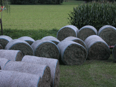 Bild 5 aus  Beikircherhof