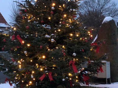 Bild 80 aus  Ostsee Ferienhof Kluvetasch