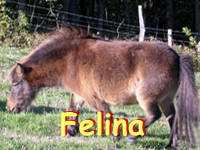 Bild 18 aus  Gasthof zum Grünen Baum