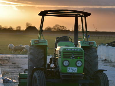 Bild 14 aus  ELBMARSCHEN BAUERNHOF Olde