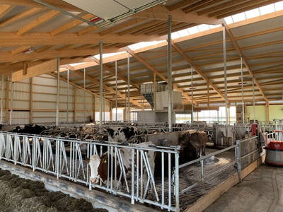 Kuhstall Sommer 2021