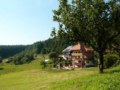 Bild 46 aus  Schlosshof - der Urlaubsbauernhof