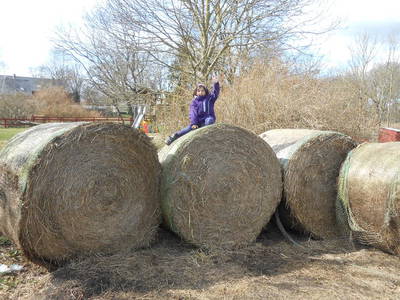 Bild 7 aus  FerienGut Dalwitz     www.feriengutdalwitz.de