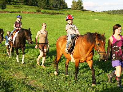 Bild 38 aus  Weidererhof