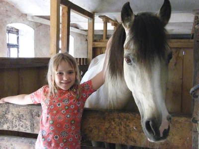 Bild 12 aus  Barmbichlhof