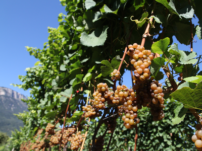 Bild 22 aus  Heideggerhof