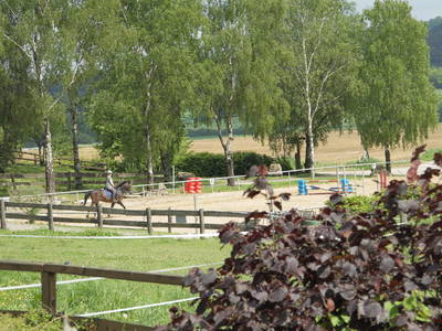 Bild 55 aus  Ferienhof Pulte