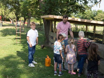 Am Meerschweinchengehege