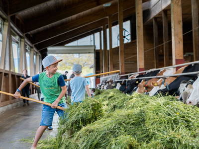 Bild 32 aus  Schädlerhof