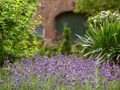Bild 3 aus  Ferienwohnung am Halderner Wald