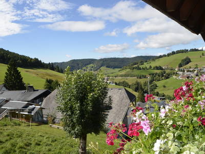 Bild 6 aus  Sunmattehof