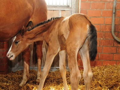 Bild 8 aus  Margarethen-Hof