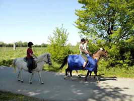 Bild 21 aus  Idyll an der Schlei