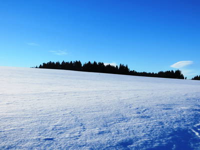 Bild 26 aus  Schelterhof