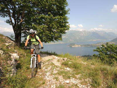 Bild 26 aus  Casarina