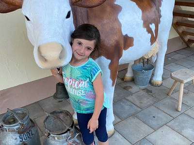 Bild 46 aus  Reiherhof