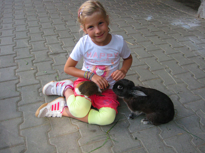 Bild 8 aus  Ferienhof Siber