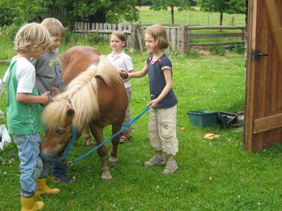 Bild 4 aus  Gutshof Armbruster