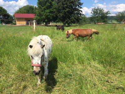 Bild 5 aus  Weihersmühle