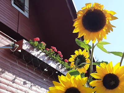 Bild 6 aus  Finnhütten Hohe Klinge- auf der Sonnenseite des Thüringer Waldes, mit traumhafter Aussicht
