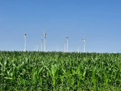 Bild 25 aus  Hof Janssen