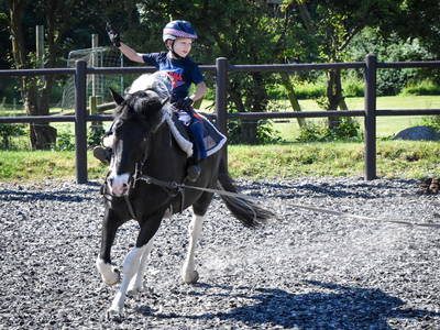 Bild 6 aus  Ferienhof  Nina Weilandt